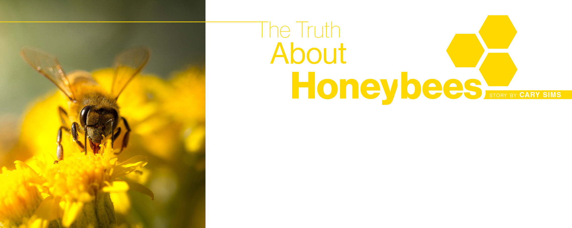 Honeybees